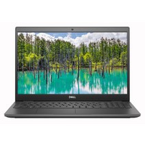 델 2020 레티튜드 3510 15.6, 그레이, 코어i5 10세대, 1280GB, 8GB, ubuntu, Latitude 3510-58G21F