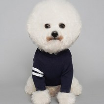 바이담수미 투라인 강아지 티셔츠, 네이비