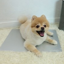 에코펫위드 강아지 알루미늄 쿨매트, 실버