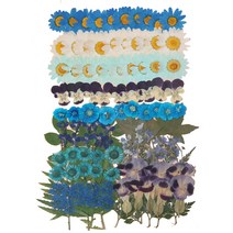 압화 공예 종합팩 K505 100p, 혼합색상, 1세트