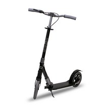 랜드웨이 모션디스크 킥보드, 블랙