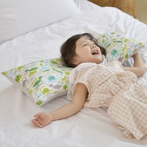 아띠블랑 인견 유아 와이드 베개 + 베개커버 2p, 디노랜드