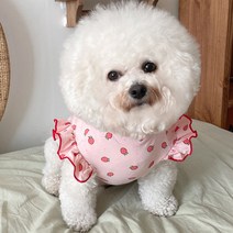 바이담수미 강아지 뷰티 딸기 프릴 나시, 핑크