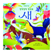 Usborne 깜짝깜짝 팝업북: 새:, 어스본코리아, 로라 코완