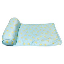 클린온 반려동물 아이스 쿨매트, 바나나블루