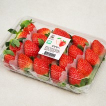 광식이농장 GAP 인증 광식이네 설향 딸기, 500g, 1팩