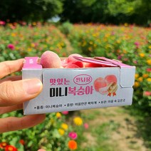 미니 과일 뇌물 오픈박스 미니어쳐 세트, 복숭아