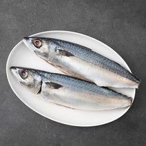 바다자리 국산 자반고등어 내장제거 (냉장), 580g(대 2~3미), 1개
