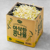 맑은물에 통통한 숙주나물, 3.5kg, 1박스