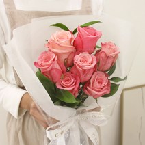 코코도르팜 생화 장미 꽃다발, 핑크 장미