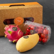 올프레쉬 제철과일 미니 선물세트 3호 1.07kg, 1세트