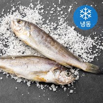 국산 영광 법성포 두마리 굴비 (냉동), 180g, 1팩