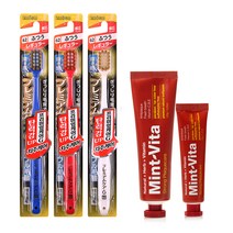 EBISU 프리미엄케어 G 칫솔 랜덤발송 3p + 민트비타치약 스트롱 120g + 40g, 1세트