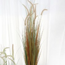 다우에프앤지 팜파스 그라스 120cm, 그린브라운