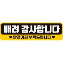 제제데코 칼라 고휘도 반사 자석 초보운전 스티커 A280 280 x 80 mm, AC034, 1개