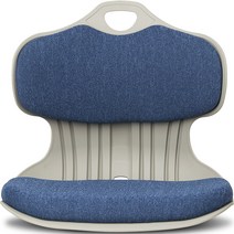 체어포커스 에스백 허리편한 좌식의자 S100, 블루