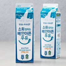 맛있는우유GT 소화 잘되는 배 안아픈 우유, 900ml, 2입