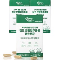 비타민마을 퍼펙트바이오틱스 기억력 혈행 장건강엔 징코 은행잎추출물 생유산균 12g, 30정, 3개