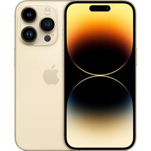 Apple 정품 아이폰 14 Pro 자급제, 골드, 1TB