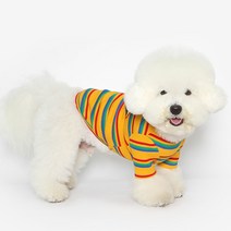투스투스 강아지 젤리 티셔츠, 멀티