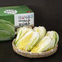 미가온 땅끝 해남 절임배추, 10kg