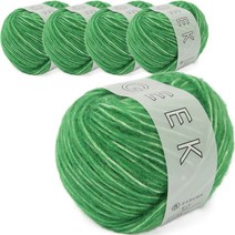 브랜드얀 다루마 긱 뜨개실 3mm 5p, 70m, 06 그린 + 화이트