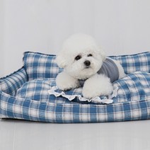 개과천선 강아지 쿠션포함 소파 침대방석, 덕블루