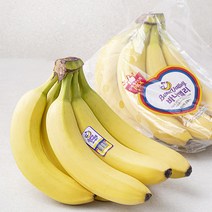 다양한 바나나1.5kg 인기 순위 TOP100 제품을 찾아보세요