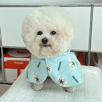 바이담수미 강아지 포그니 후드 망토, 스카이블루