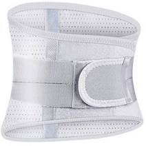 심플라인 허리 강판 보호대 그레이 L, 1개