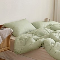 마틸라 세이브 M2 알러지케어 차렵이불 + 베개커버 세트 Q