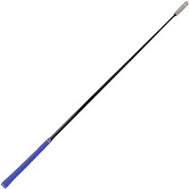 리온 웨이트 가속 훈련 골프 스윙연습기 HY620, 블루