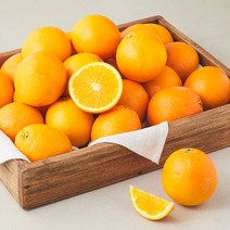 다조은 Sweetugly 미국산 주스용 미니 네이블 오렌지, 5kg, 1봉