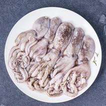 김씨밥 탱글탱글 낙지 (냉장), 500g, 1개
