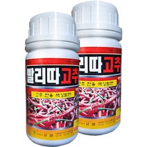 빨리따고추 고추 착색 비료, 2개, 200ml