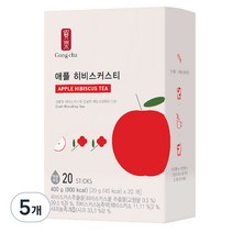 공차 애플히비스커스티, 20g, 20개입, 5개