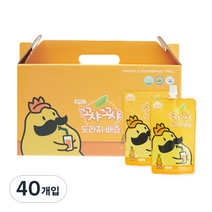 꼬샤꼬샤 도라지 배즙 스탠딩 파우치 타입, 110ml, 40개