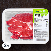 동원홈푸드 유기농 인증 척아이롤 구이용 (냉장), 200g, 2개