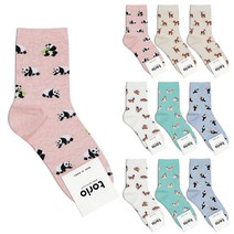 박군 여성용 애니멀패턴 양말 10족 세트