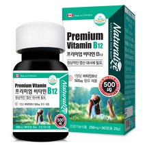 네추럴라이즈 프리미엄 비타민 B12, 90정, 1개