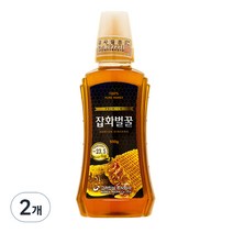 고려인삼 잡화벌꿀, 2개, 500g