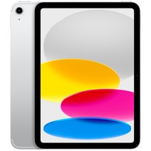 Apple 정품 2022 아이패드 10세대, 실버, 256GB, Wi-Fi+Cellular