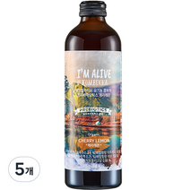 아임얼라이브 콤부차 유리병 체리레몬, 5개, 315ml