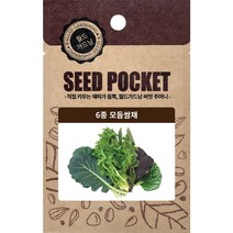 월드가드닝 행복한 텃밭 좋은 씨앗 6종 모듬쌈채씨 2000개, 1개