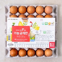 계란유정란계란계란달걀 추천 순위 모음 40