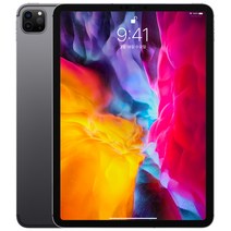 Apple iPad Pro 11 2세대, 스페이스 그레이, 1TB, Wi-Fi+Cellular
