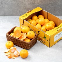 농협 GAP 하우스 감귤, 1.5kg, 1개