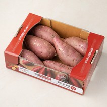 곰곰 농협 해남 화산 꿀맛 고구마, 1.5kg, 1박스