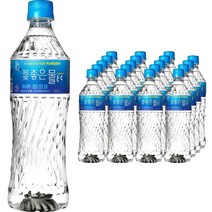 몸애좋은물 80 미네랄 플러스 해양심층수, 500ml, 20개