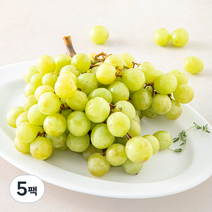 곰곰 미국산 씨없는청포도, 700g, 5팩